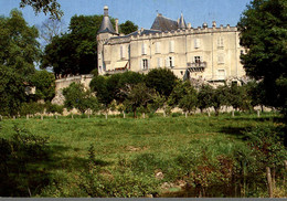 Delcampe - 17 JONZAC LE CHATEAU VU DES BORDS DE LA SEUGNE - Jonzac