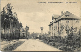 Delcampe - Alsemberg  *  Sanatorium Brugmann - Vue Vers L'entrée - Beersel