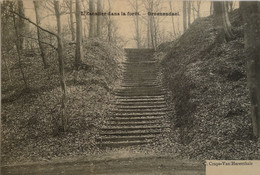 Groenendael (Hoeilaart) Escalier Dans La Foret 190? - Höilaart