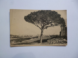 Delcampe - MARTIGUES  -  13  -  Vue Générale Prise De La Route De Caronte  -  Bouches Du Rhône - Martigues