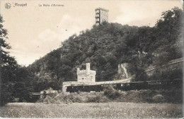 HOUYET - La Halte D'Ardenne - Nels, Série Houyet, N° 50 - N'a Pas Circulé - Houyet