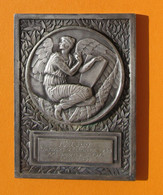Plaque Nominative En Bronze - Automobile - L'Auto - Concours D'Élégance 1938 - Professionals / Firms