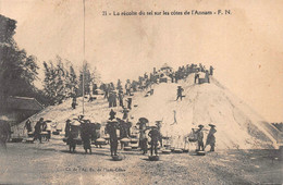 Delcampe - ¤¤   -  VIET-NAM   -  ANNAM   -  La Récolte Du Sel Sur Les Côtes       -   ¤¤ - Vietnam