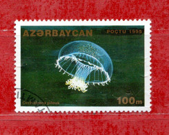 Delcampe - (34) AZERBAIDJAN °- 1995  - PESCI POISSONS. Yvert. 211.  OBLITERE. - Aserbaidschan