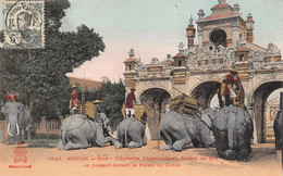 Delcampe - VIET-NAM   -  ANNAM   -  HUE   -  Eléphants S'agenouillant Faisant Les Laïs En Passant Devant Le Palais Du Comat - Vietnam