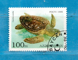 Delcampe - (34) AZERBAIDJAN °- 1995 - Les TORTUES - TARTARUGHE. Yvert. 216  OBLITERE. - Aserbaidschan