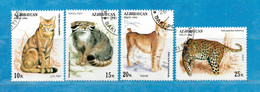 Delcampe - (34) AZERBAIDJAN °- 1994 - FELINI PANTERA.  Yvert. 187 à 191.  Sans Le 191.  Oblitéré. - Aserbaidschan