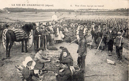 LA VIE EN CHAMPAGNE VUE D'UNE EQUIPE AU TRAVAIL - Vignes