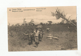 ELISABETHVILLE 80 CONGO BELGE RENTREE DU MAIS (ATTELAGE) CARTE AVEC ENTIER POSTAL - Congo Belge