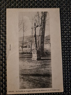 Delcampe - Carte THANN Le Crucifix Au Bungert Mutilé En 1915 - Thann