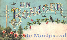 Delcampe - MACHECOUL - Un BONJOUR - Machecoul