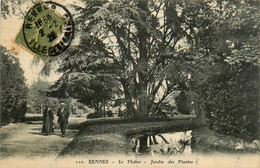 Rennes * Le Thabor * Le Jardin Des Plantes * Chemin Arbre - Rennes