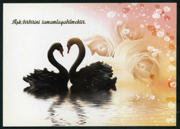 Delcampe - Birds, Swans, Heart, Valentine's Day | Unused VF - Valentinstag