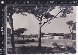 Delcampe - CPA SPORTS, HORSE SHOW, HYERES RACECOURSE - Reitsport