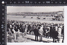 Delcampe - CPA SPORTS, HORSE SHOW, DONCASTER RACECOURSE - Reitsport