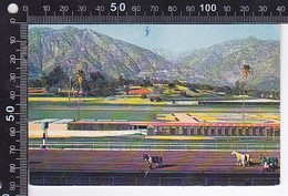 Delcampe - CPA SPORTS, HORSE SHOW, SANTA ANITA RACECOURSE - Reitsport