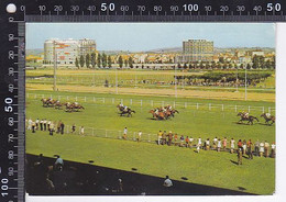 Delcampe - CPA SPORTS, HORSE SHOW, VICHY RACECOURSE - Reitsport