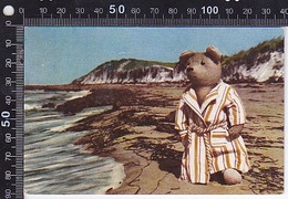 Delcampe - CPA GAMES AND TOYS, TEDDY BEAR, BATHROBE, BEACH - Spielzeug & Spiele