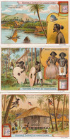 Set Of 6 Chromos Carolines Islands  Nollok ,  Nude Man And Woman Yap , Fishing, Wood , - Palau