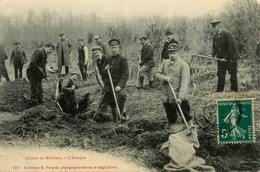 L'aigle Laigle * Chasse Au Blaireau , L'attaque * Thème Chasseurs - L'Aigle