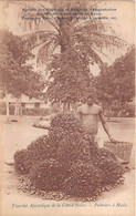 Delcampe - COTE D'IVOIRE - Vicariat Apostolique De La Côte D'Ivoire - Palmiers à Huile - Elfenbeinküste