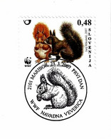 Delcampe - Slovenie, 2007, Entier Postal, Ecureuil Roux, Sciurus Vulgaris, Rongeur, WWF, Faune, Mammifère, - Nager