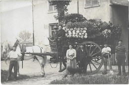 Delcampe - 94 Creteil  - Carte Photo  E Lespagnol Creteil -   - Attelage Marchand De Legumes - Creteil