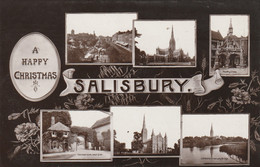 SALISBURY -  MULTI VIEW - Salisbury