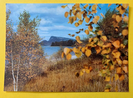 18122 -   Lumières Et Couleurs D'automne Lac De Joux Et Dent De Vaulion Vallée De Joux - Vaulion