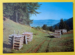 18125 -  Au Col Du Marchairuz Lac De Joux, Dent De Vaulion Vallée De Joux - Vaulion