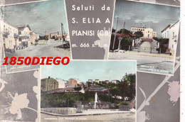Delcampe - SALUTI  DA S. ELIA A PIANISI - MULTIVEDUTE F/GRANDE VIAGGIATA  1966 ANIMAZIONE - Campobasso