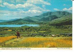 West Cork, Adrigole Harbour, Beara Peninsula, Gelaufen 1986 - Cork