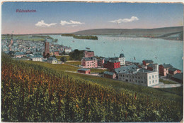 Postkarte Rüdesheim  (Allemagne) Panorama Vers Le Rhin  Vignes - Ruesselsheim