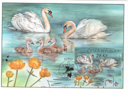 Czech Republic  2022 - Bug,  Macha Region,  FDC (1 From Set 4) - Swans