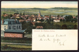 SOUVENIR DE CHATEAU SALINS - 1905 - F. P. - STORIA POSTALE - Chateau Salins