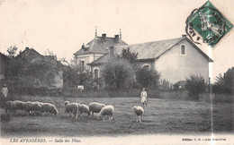 Les AVENIERES (Isère) - Salle Des Fêtes - Troupeau De Moutons - Les Avenières