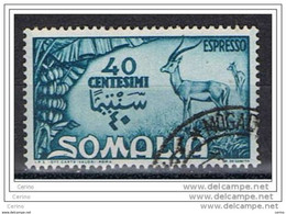 SOMALIA  A.F.I.S.:  1950  ESPRESSO  -  40 C. VERDE  SMERALDO  US. -  SASS. E 1 - Somalia (AFIS)