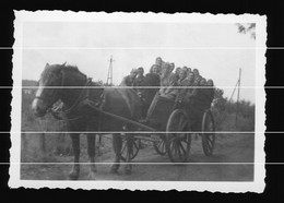 Orig. Foto 1948 Ortspartie Bederkesa Geestland, Junge Mädchen + Jungen Auf Pferde Fuhrwerk Unterwegs - Bad Bederkesa