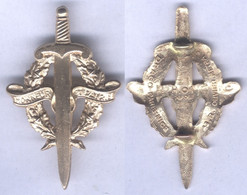 Insigne Du Brevet De Préparation Militaire Elémentaire ( Bronze ) - Esercito