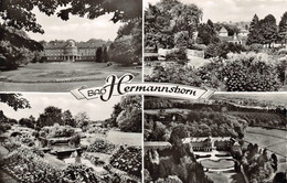 Bad Hermannsborn - Mehrbilkarte  (97) - Bad Driburg