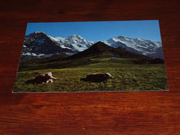 52948-                            SWITZERLAND,  MÄNNLICHEN, BERGGASTHAUS - Berg