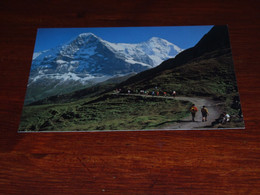 52949-                            SWITZERLAND,  WANDERWEG MÄNNLICHEN KLEINE SCHEIDEGG - Egg