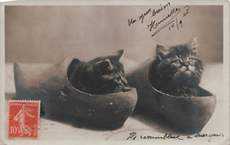 CPA Chatons Dans Des Sabots - Lohmann Asnieres Printed In France 1910 - Chats