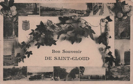 CPA Bon Souvenir De Saint Cloud - Carte Multivues - Saint Cloud