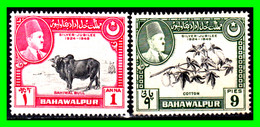 PAKISTAN – BAHAWALPUR SELLOS AÑO 1949 ( ASIA ) ( XXV ANIVERSARIO DE LA CORONACIÓN DE SADEG MOHAMMAD KHAN - Pakistan