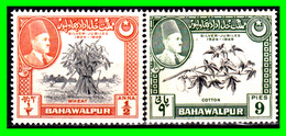 PAKISTAN – BAHAWALPUR SELLOS AÑO 1949 ( ASIA ) ( XXV ANIVERSARIO DE LA CORONACIÓN DE SADEG MOHAMMAD KHAN - Pakistan