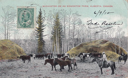 CANADA(EDMONTON) COW BOY - Edmonton