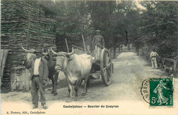 Casteljaloux * Bouvier Du Queyran * Attelage Boeuf * Métier Bois Scierie ? - Casteljaloux