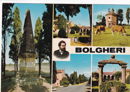 LIVORNO - BOLGHERI - Livorno