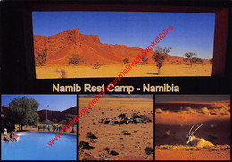 Namibia - Namib Rest Camp - Namibia